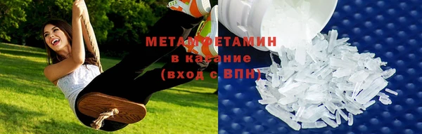 стаф Аркадак