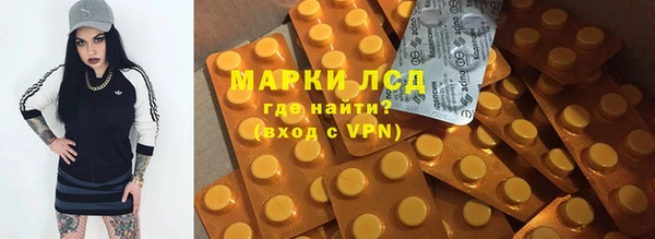 стаф Аркадак