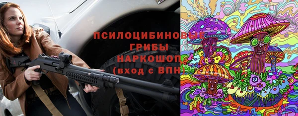 стаф Аркадак