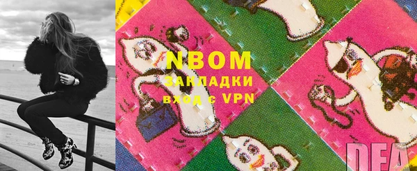 стаф Аркадак
