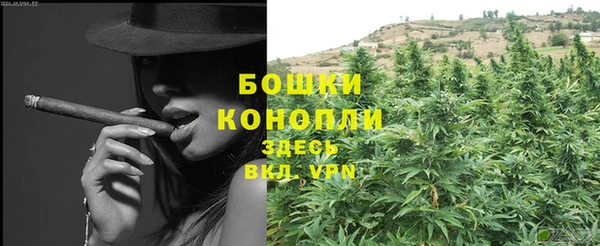 стаф Аркадак